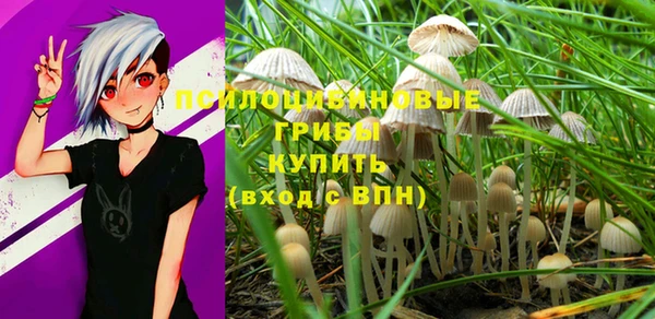 а пвп мука Богородицк