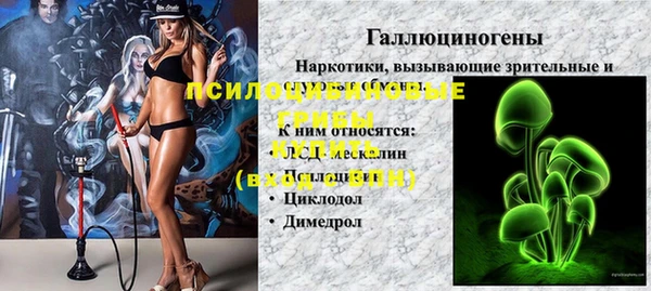гашик Богородск
