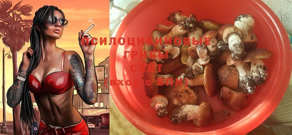 гашик Богородск