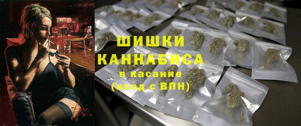 гашик Богородск