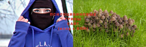 гашик Богородск
