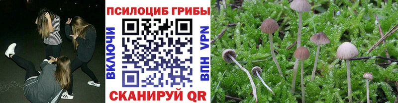 Псилоцибиновые грибы прущие грибы  Нижний Новгород 